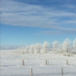 Meet your Posher, Myra